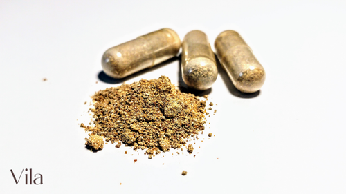 Ašvaganda – Šta je, njene koristi i kako se uzima?