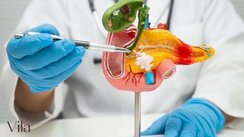 Najbolji probavni enzimi za varenje hrane, kompletan vodič